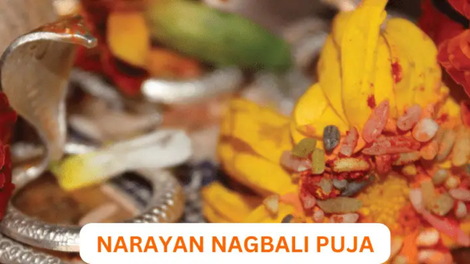 Narayan Nagbali Puja In Trimbakeshwar