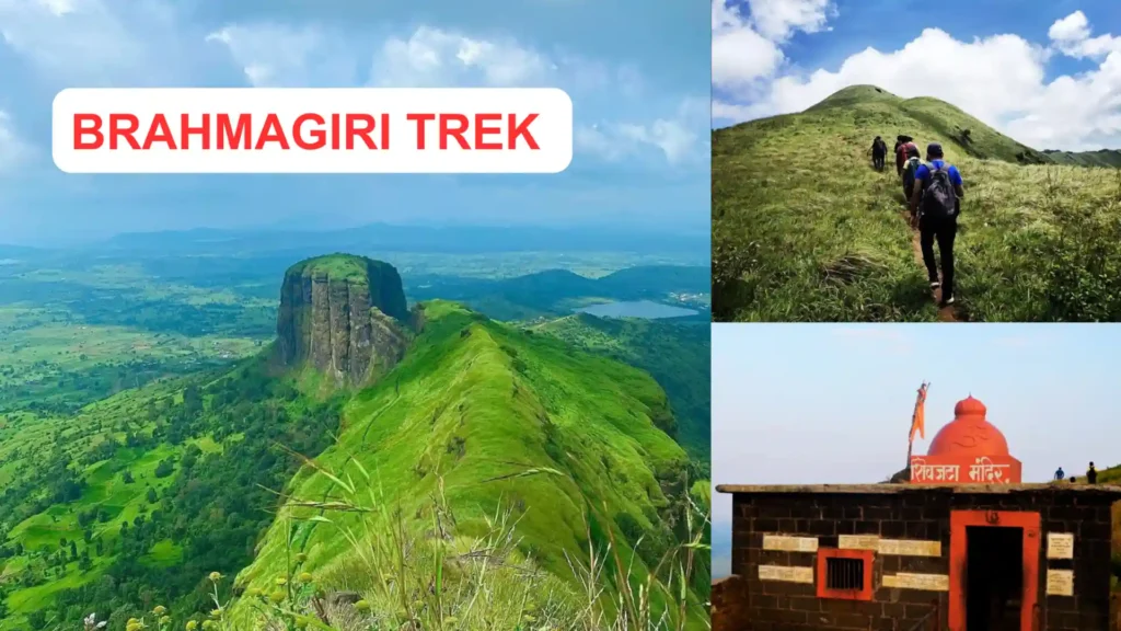 bramhgiri-trekk-nashik-1024x576